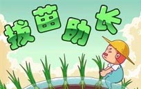 百度快速排名有風險,選擇需謹慎
